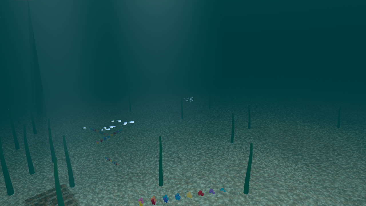 A school of fish over the reef